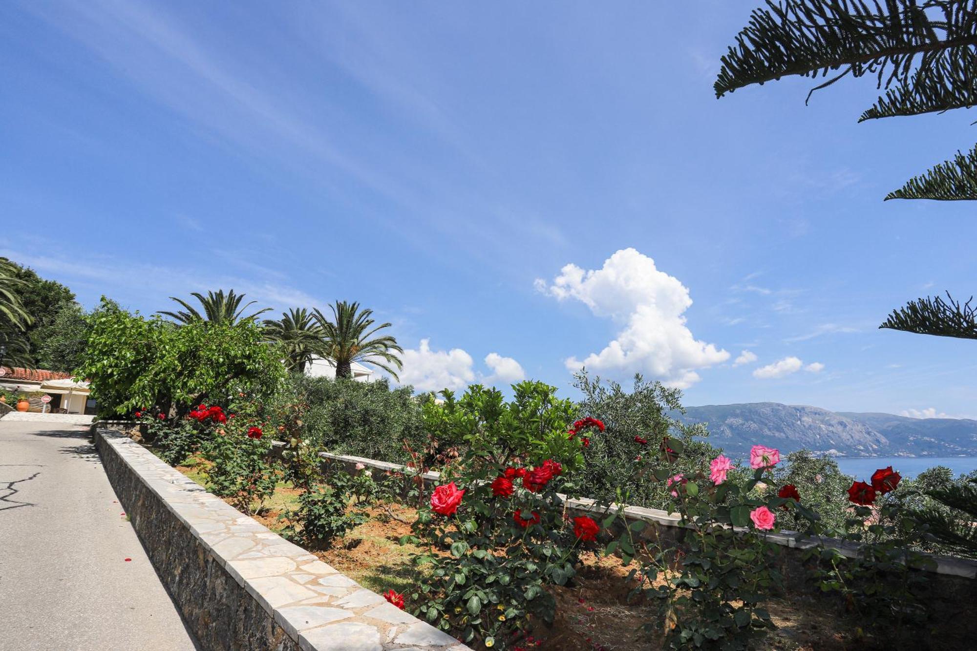 Bella Vista * Kommeno (Corfu)
