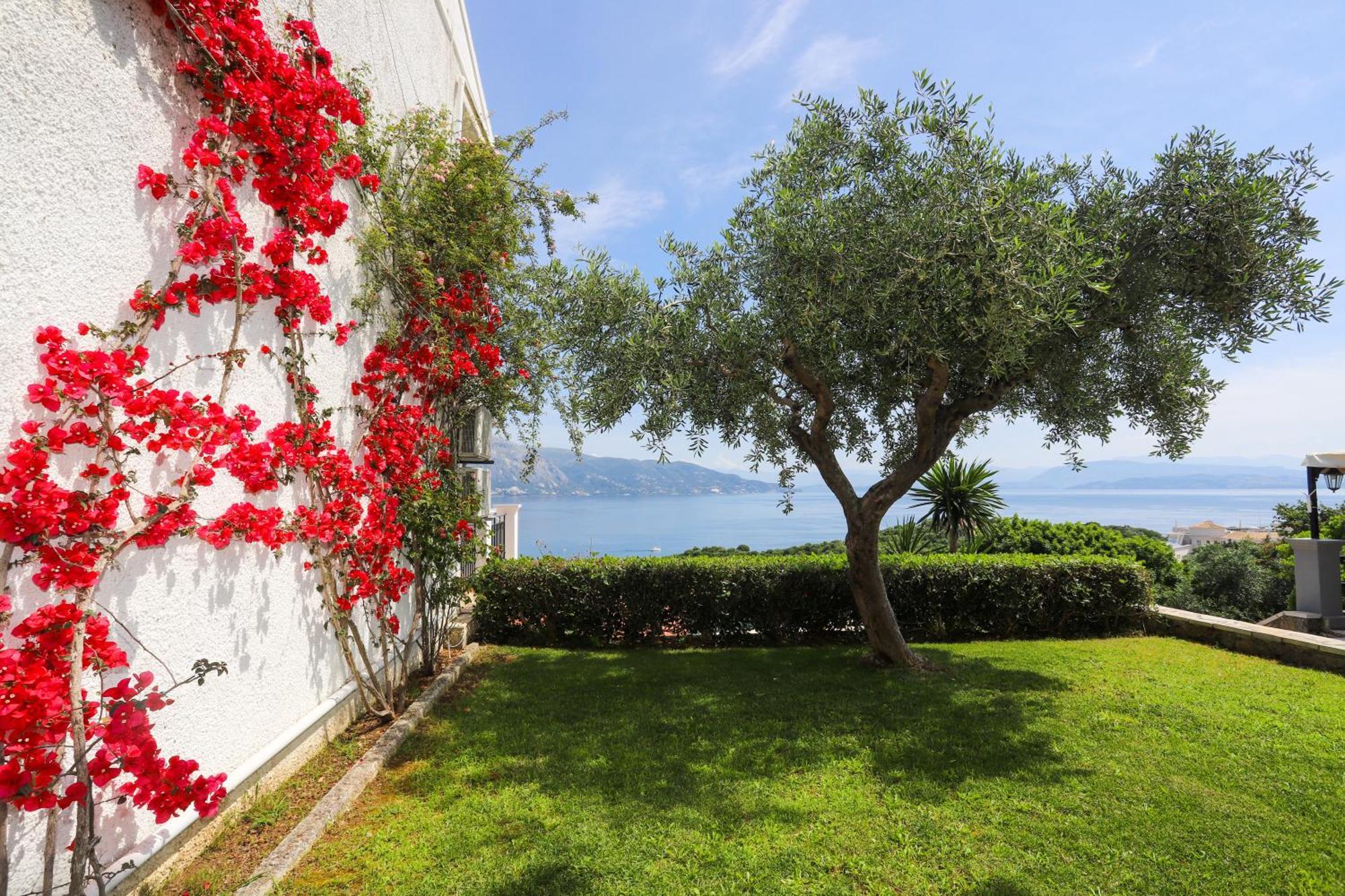 Apartment Bella Vista