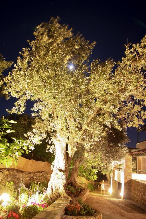 Elia Village Aparthotel 3*