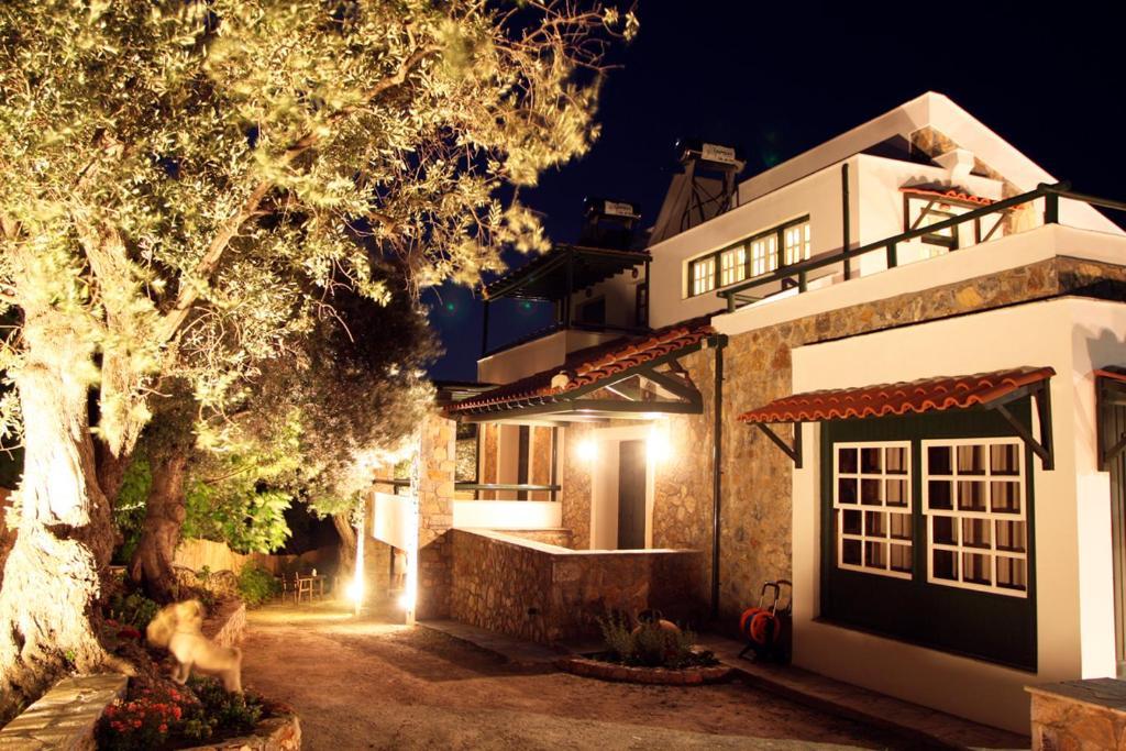 Elia Village Aparthotel Plomari