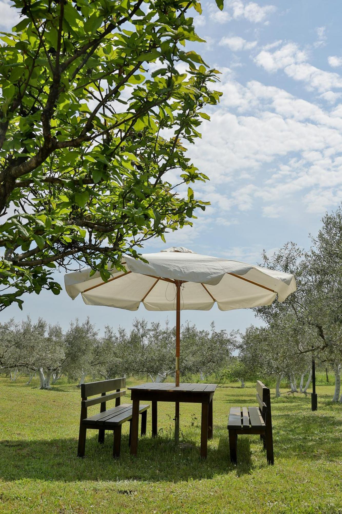 Holiday home Mavitaplace Olympos Olive Leptokarya (Pieria)