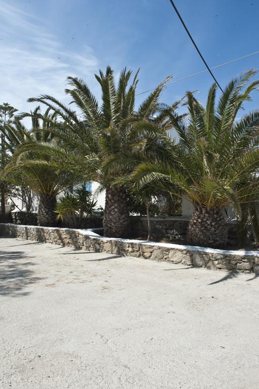 Filoxenia Apartment Ornos (Mykonos)