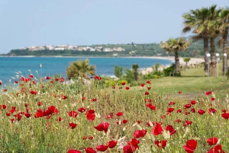 Poseidon Hotel