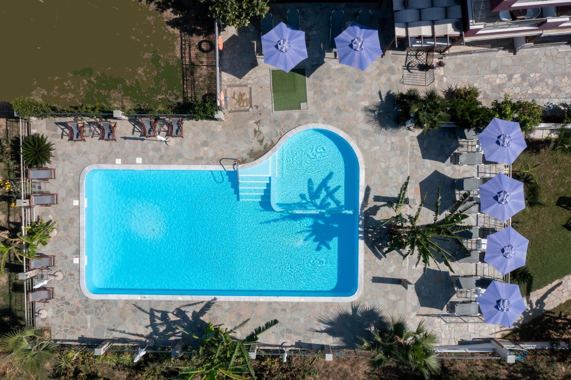 Hotel Star Paradise