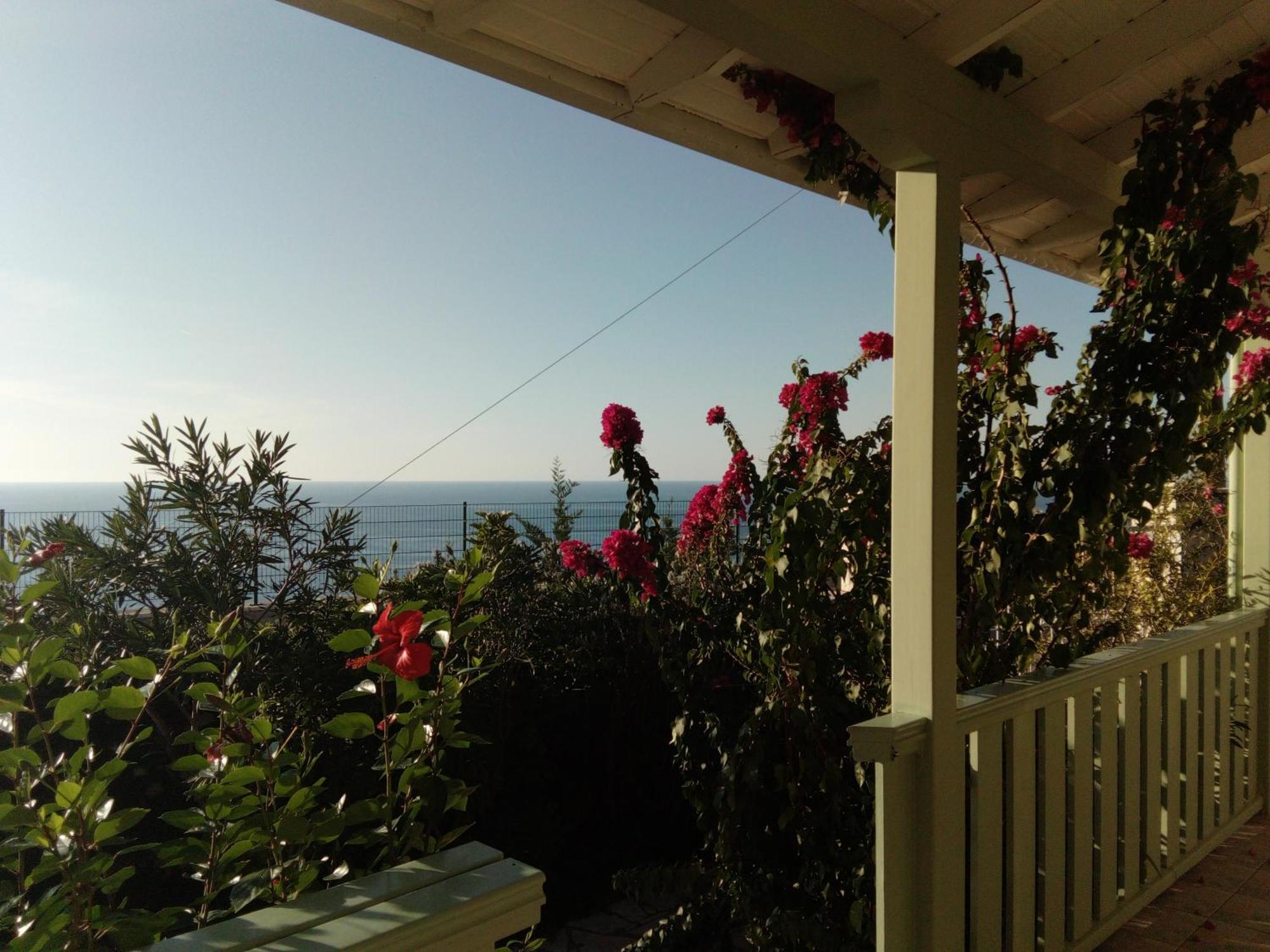 Deep Blue- Rosemary Sea View