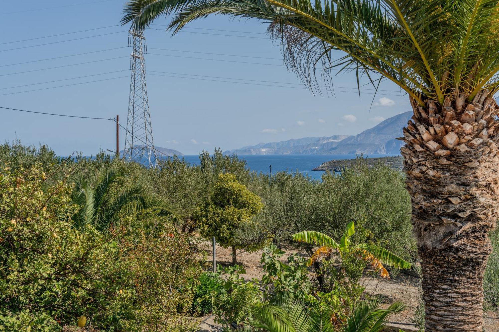 Athina Apartment Istro