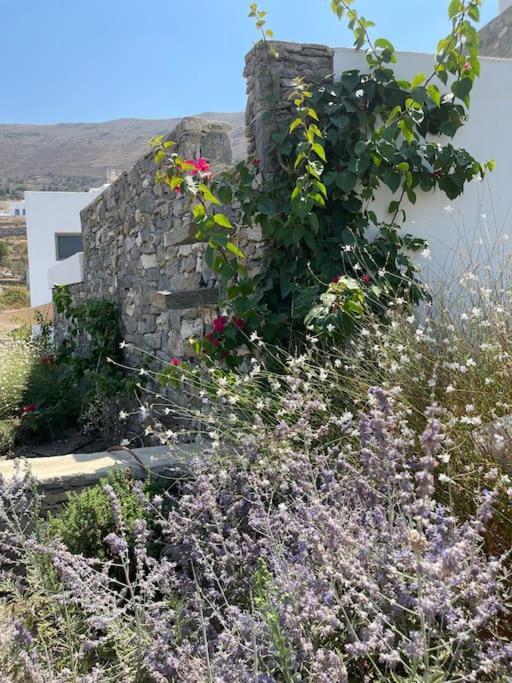 Villa Dream 2, ολόκληρος χώρος με πισίνα Parikia (Paros)