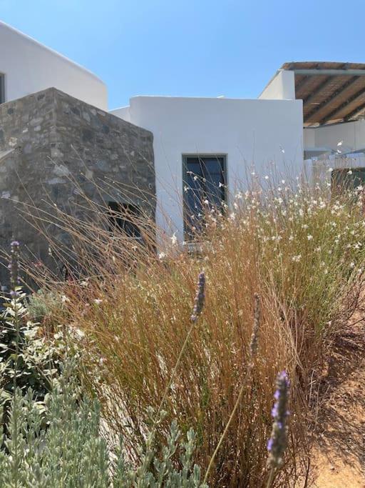 Dream 2, ολόκληρος χώρος με πισίνα Parikia (Paros)
