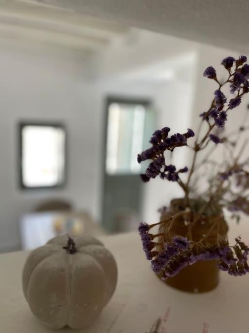 Villa Dream 2, ολόκληρος χώρος με πισίνα Parikia (Paros)