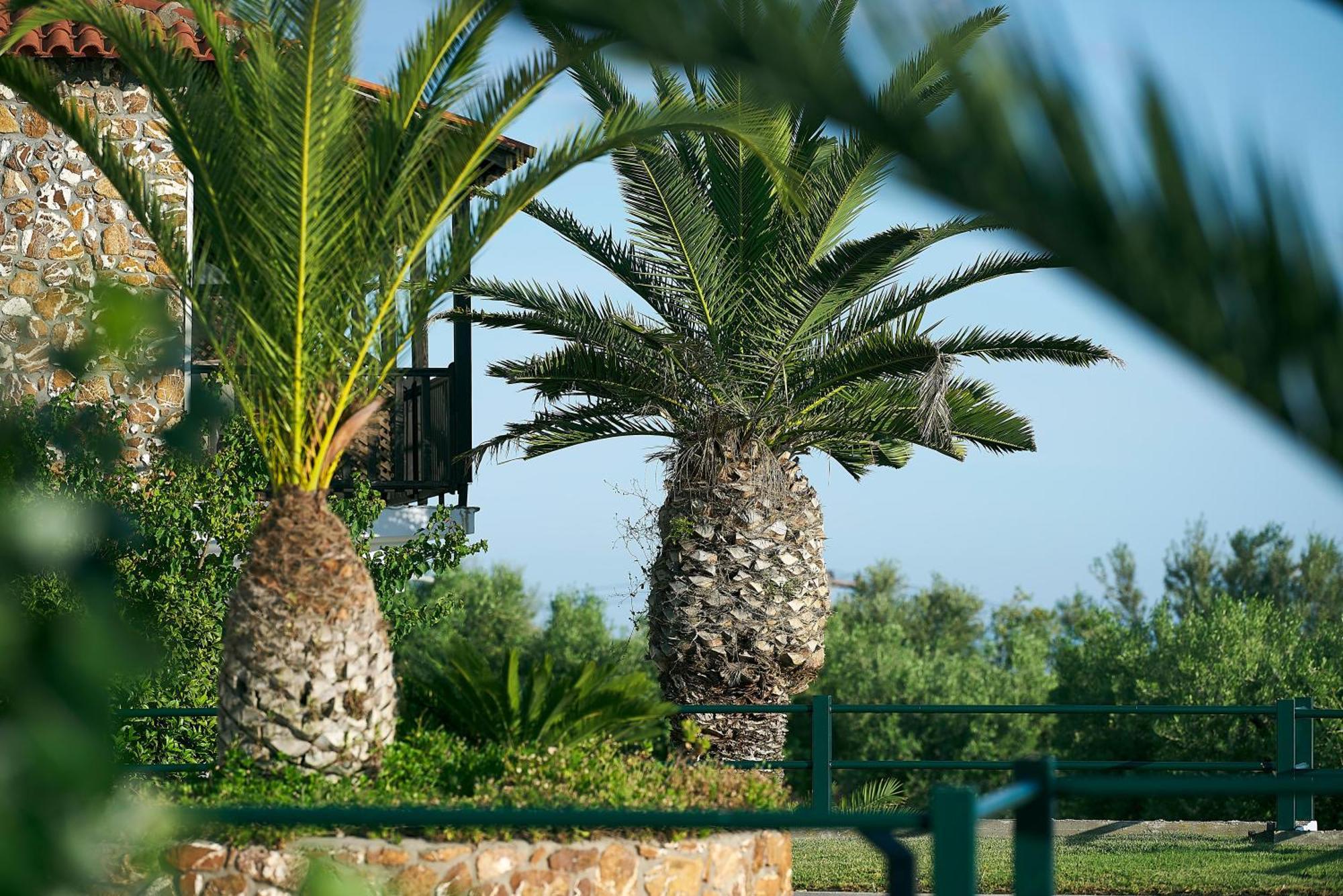Resort Glavas Gerakini