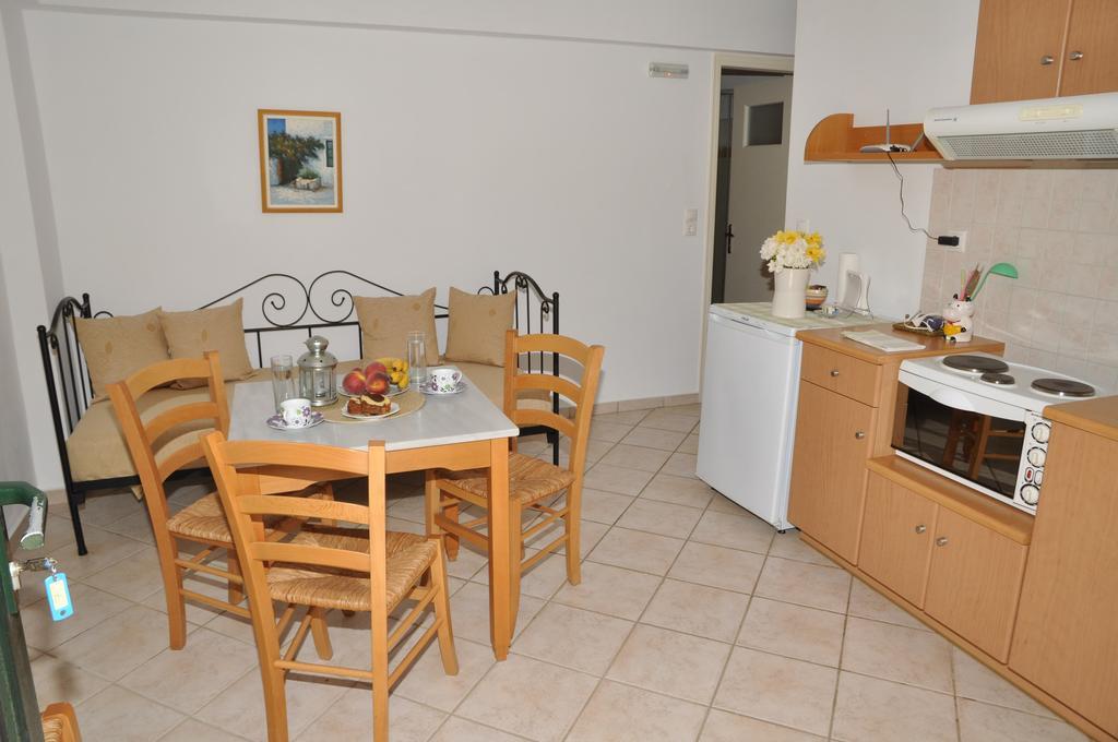 Handakas Apartment Andros Town