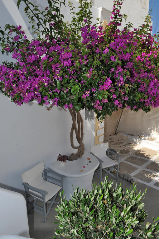 Eleftheria Veloudiou Guest house Tinos