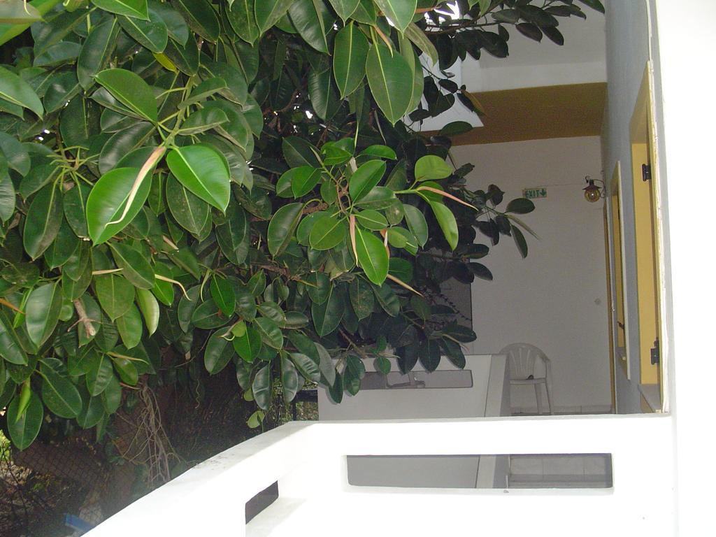 Apartment Kiveli