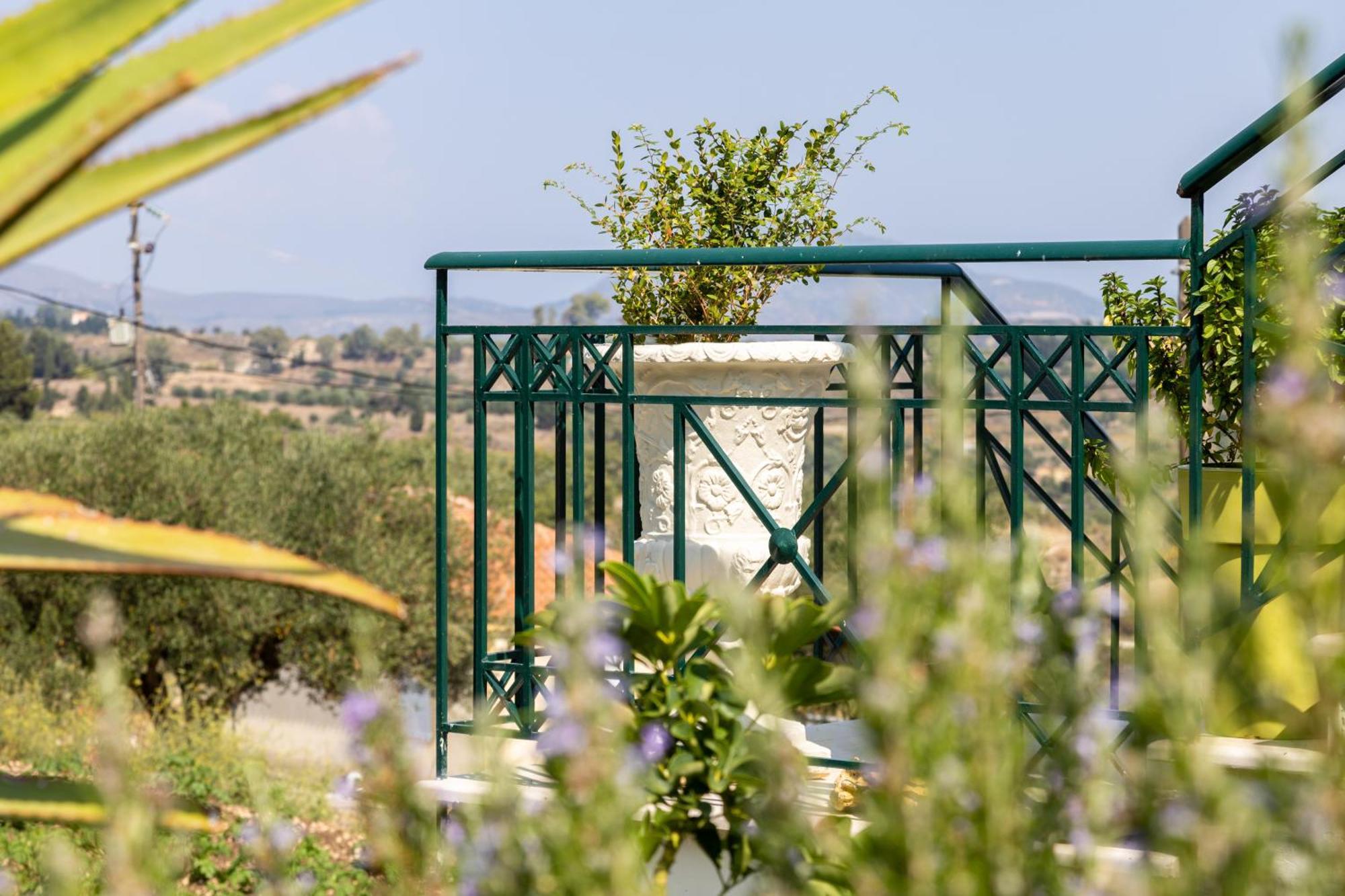 Apartment Theano - Family House In Lixouri, Kefalonia *