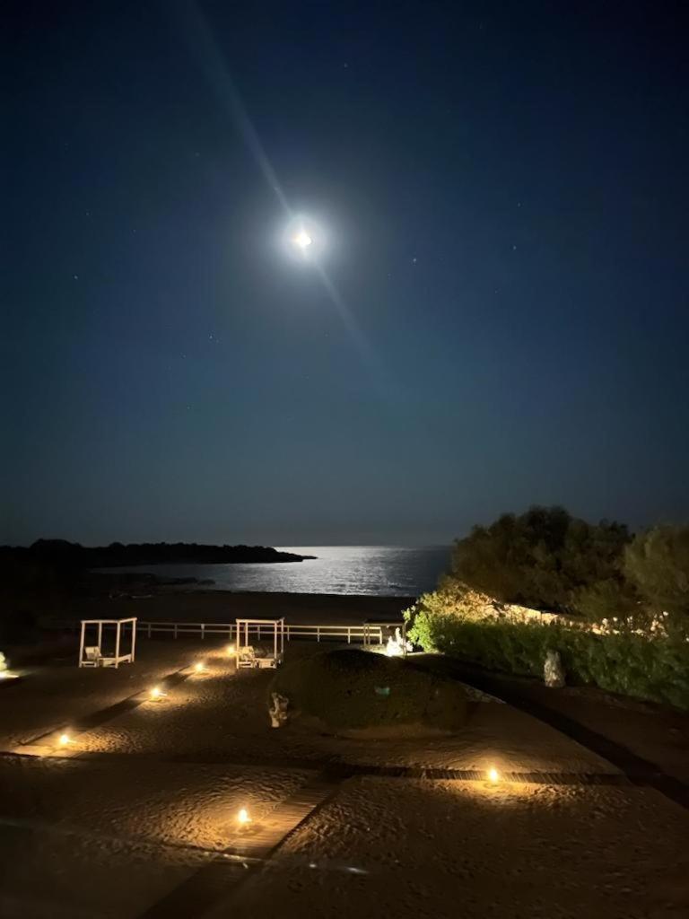 Cedar Bay Beachside