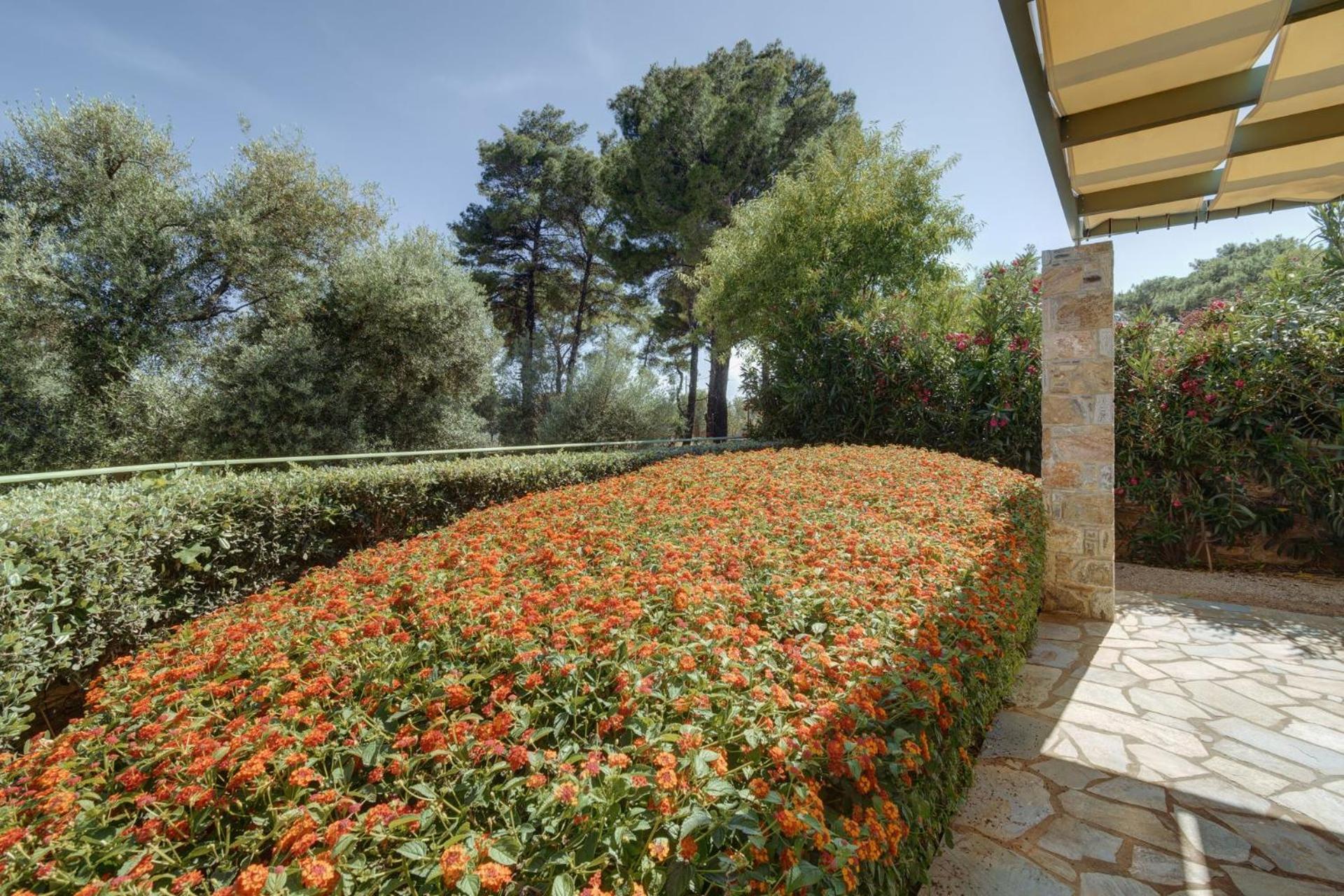 Holiday home Ouzo Stone Plomari