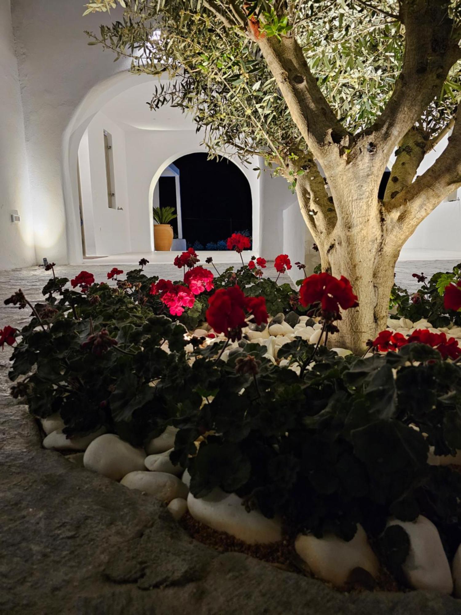 Paros Breeze Luxury