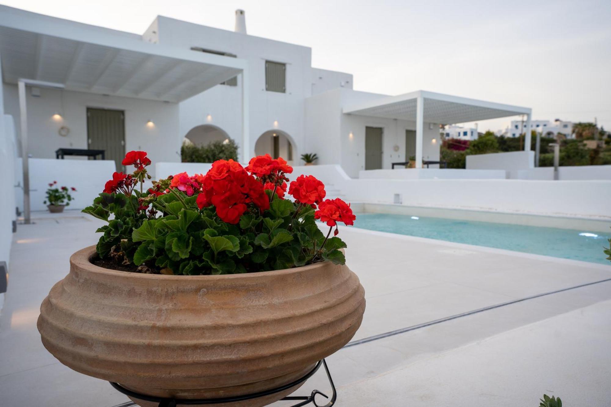 Paros Breeze Luxury Villa Drios