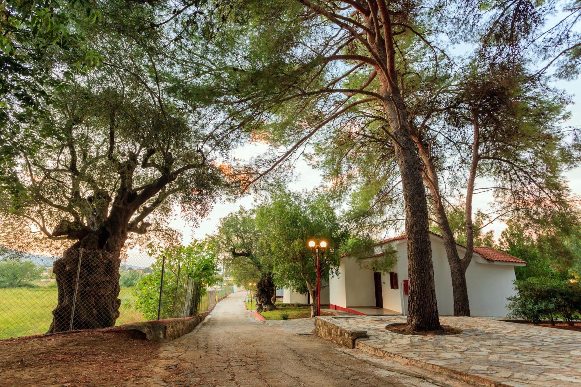 Park Aparthotel