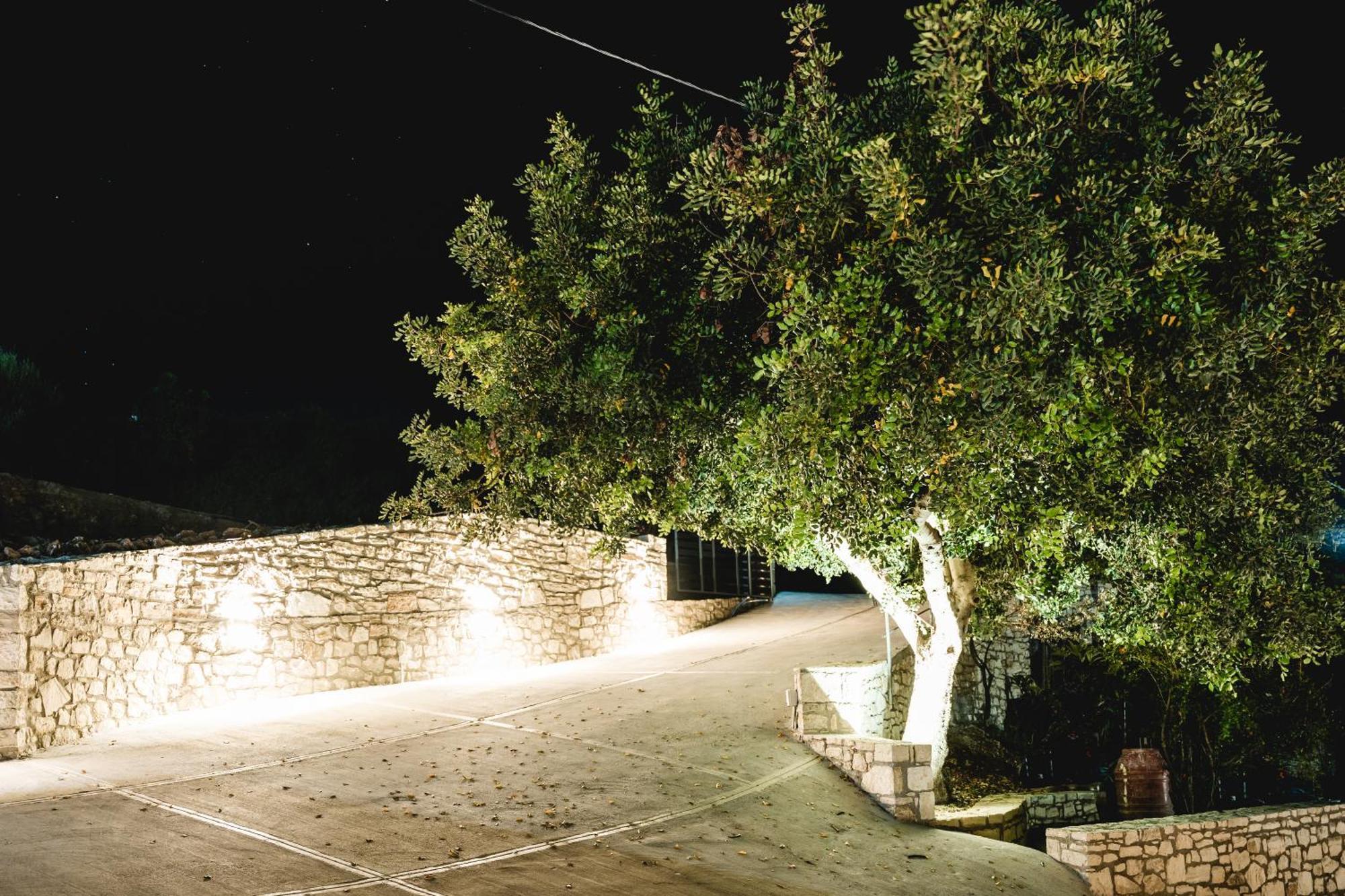 Villa Andromache