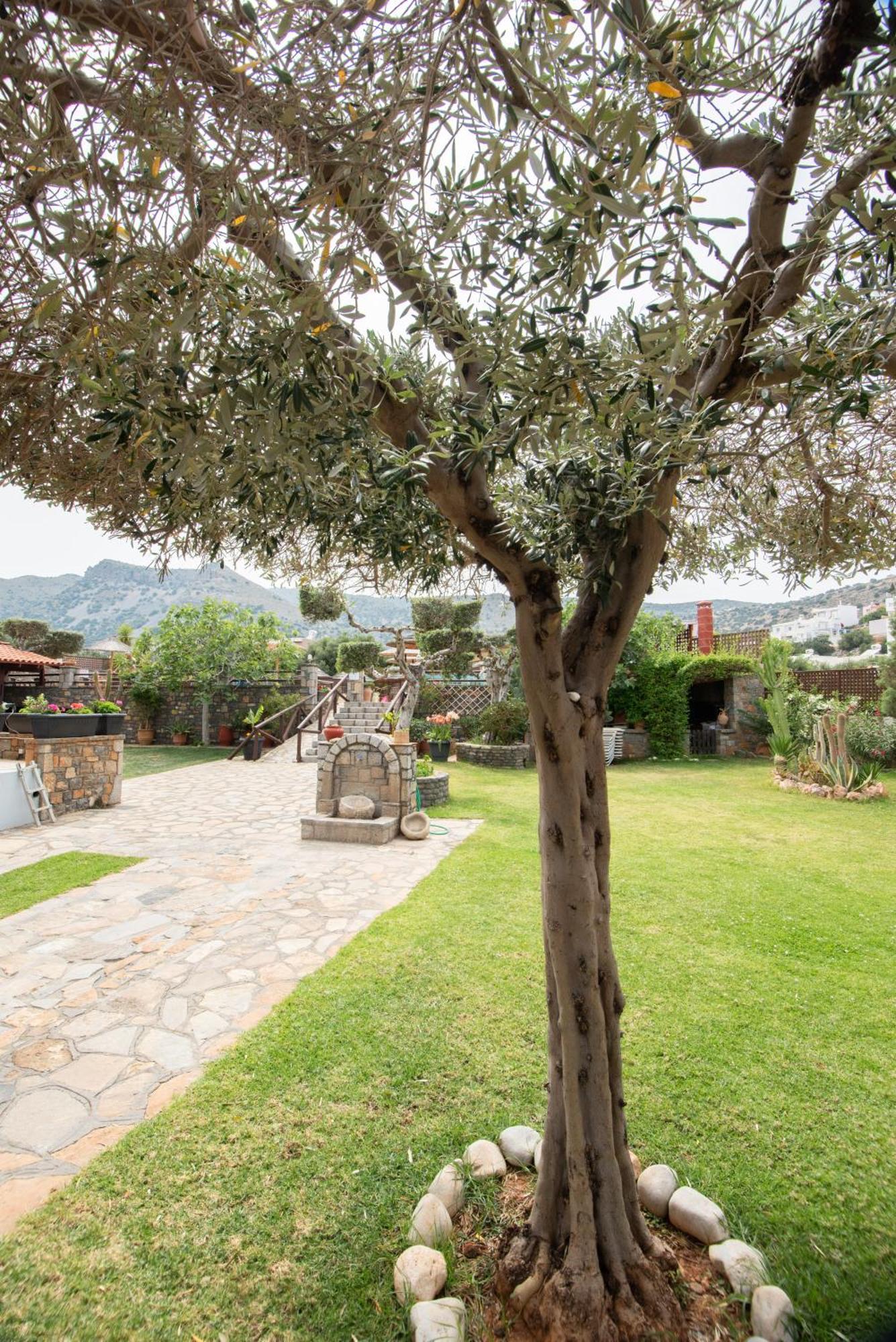 Aparthotel Corali Studios & Portobello Elounda (Crete)
