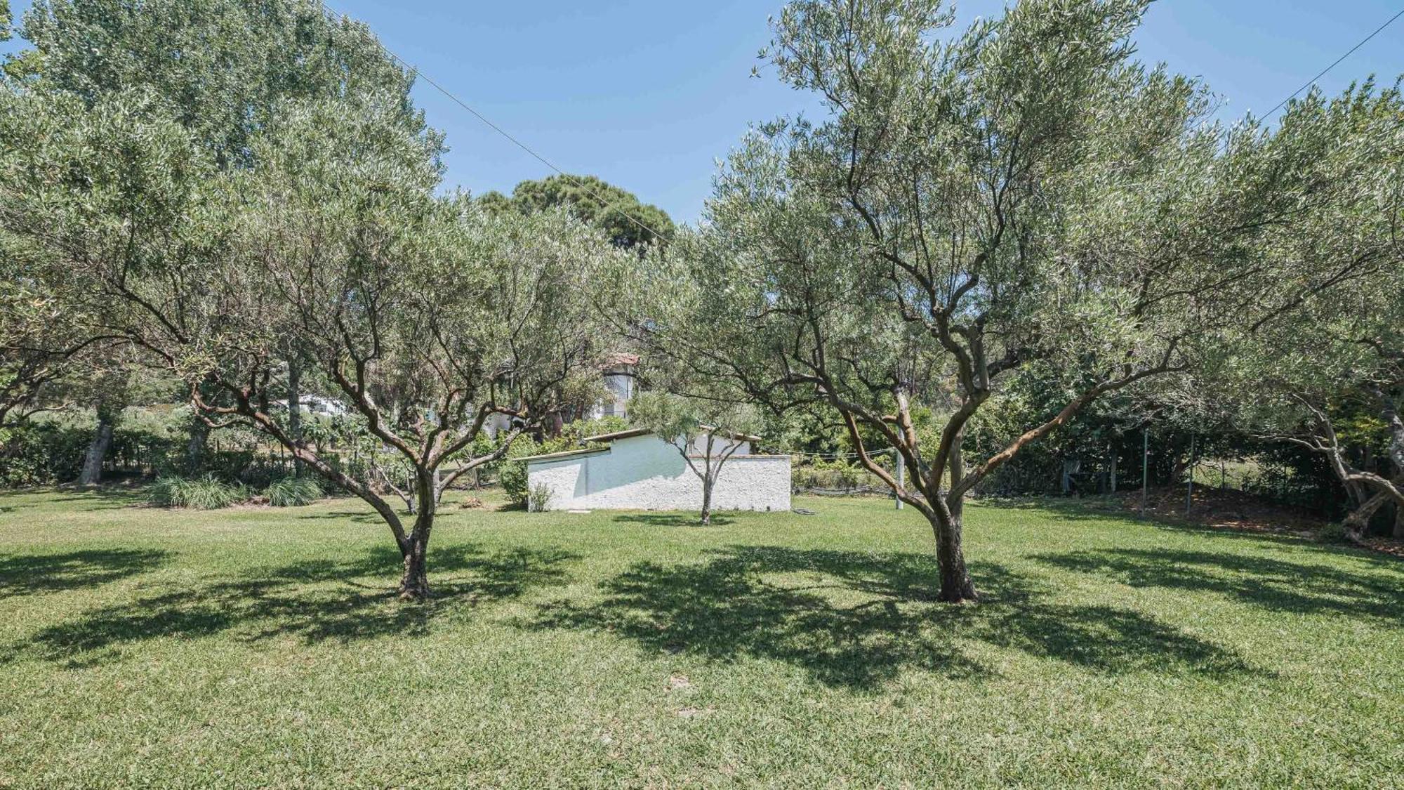 Hacienda Beachfront Villas, Spathies Holiday home Nikiti (Sithonia)