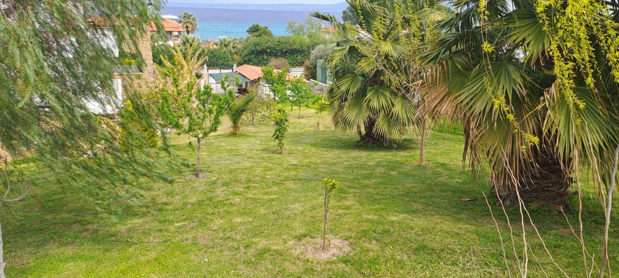 Aparthotel Helga Exotic Pefkochori