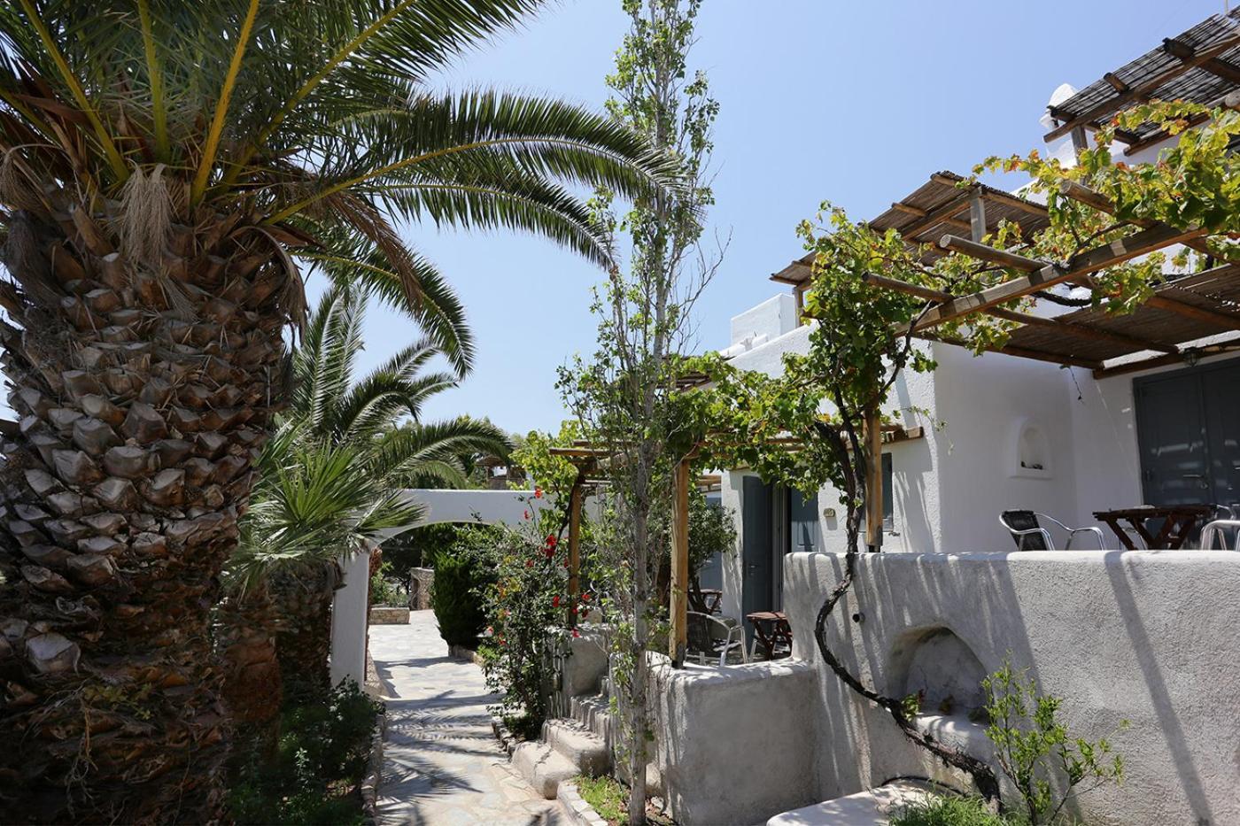 Albatros Club Mykonos Hotel Panormos (Mykonos)
