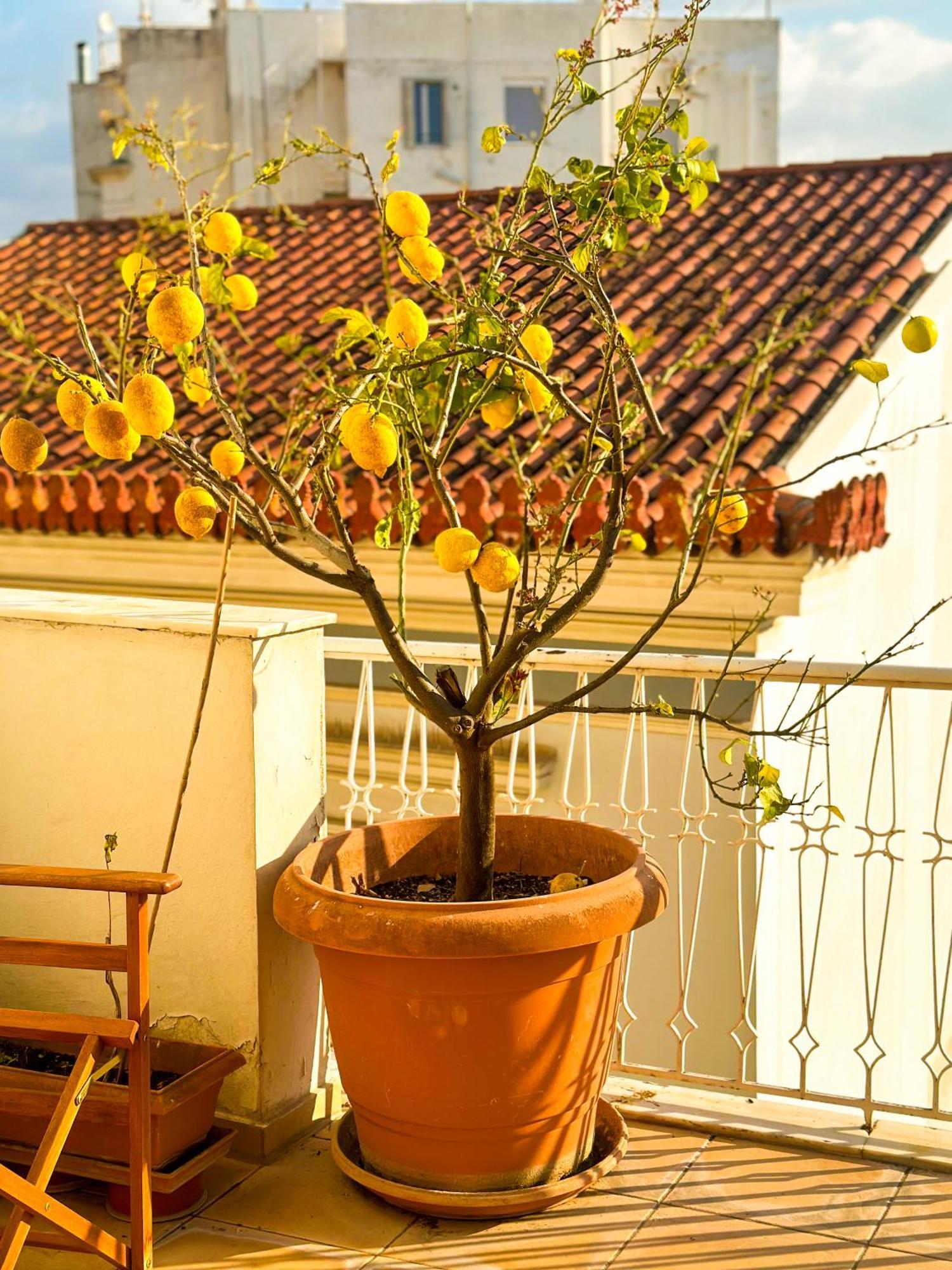 Acropolis Plaka Ambience Retreat Apartment Athens