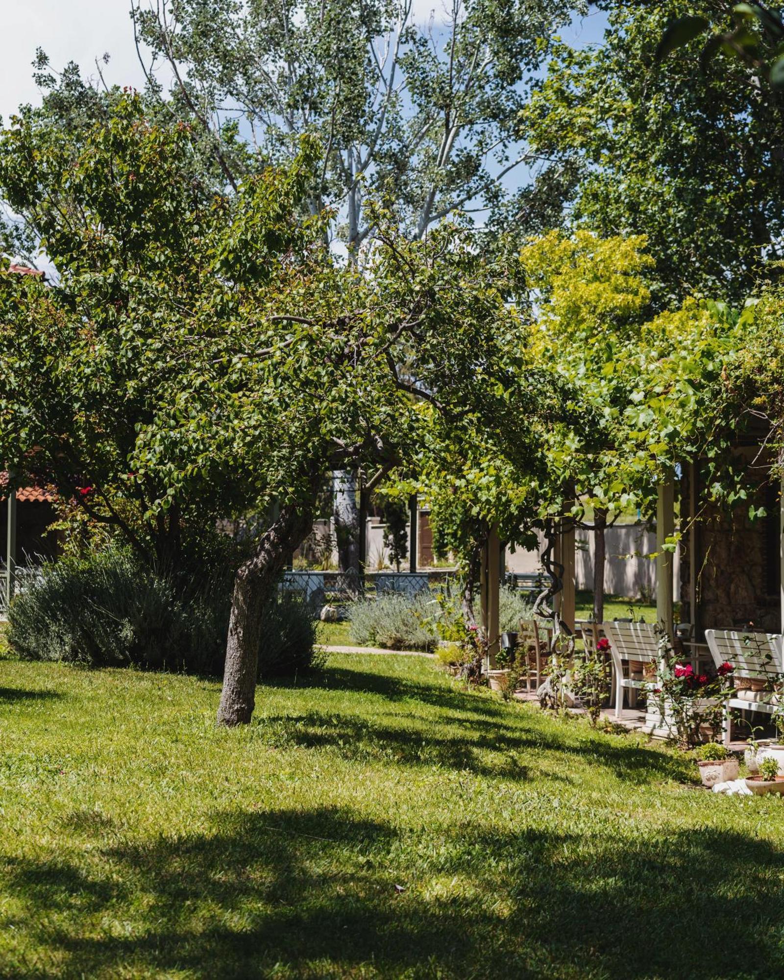 Petrino Eco Village Afytos