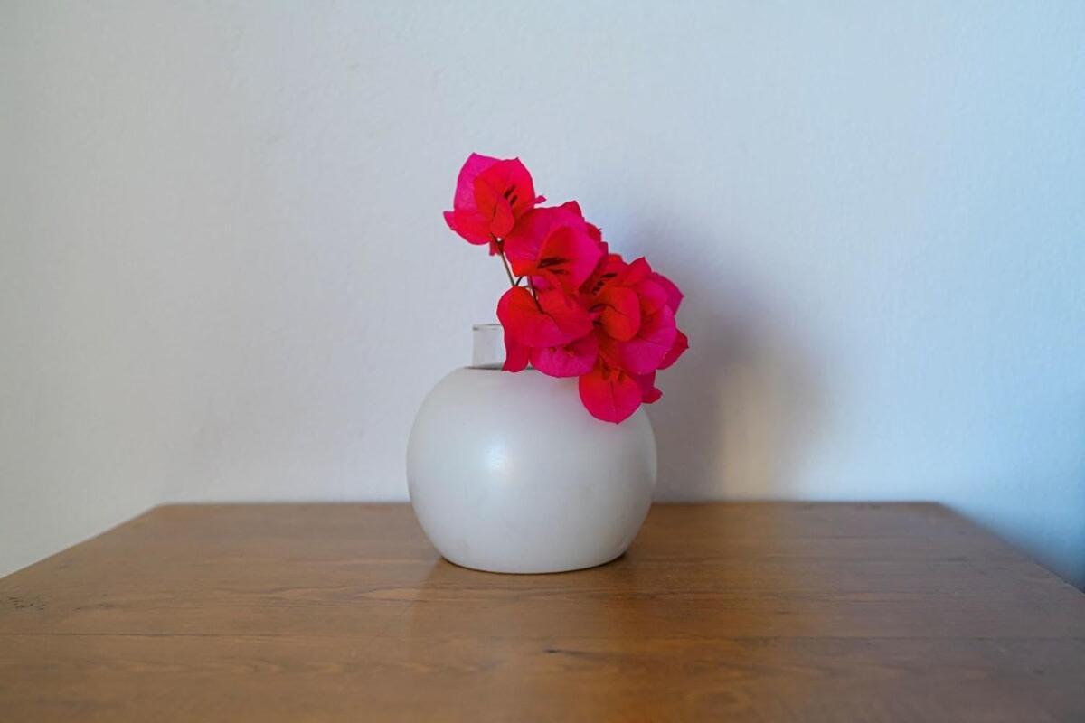 Cycladic Bliss - Uncovering Paros Seaview Gem Holiday home Drios