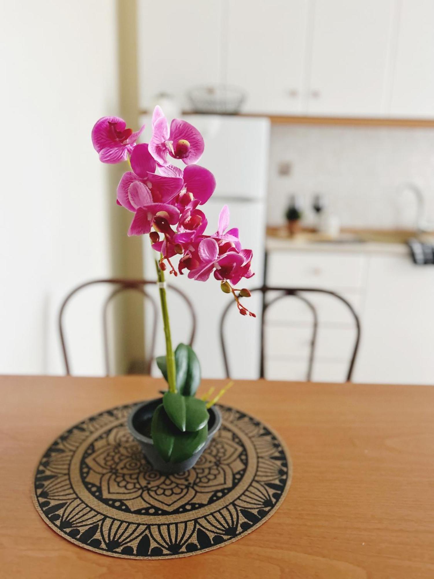 Apartment Hermanos