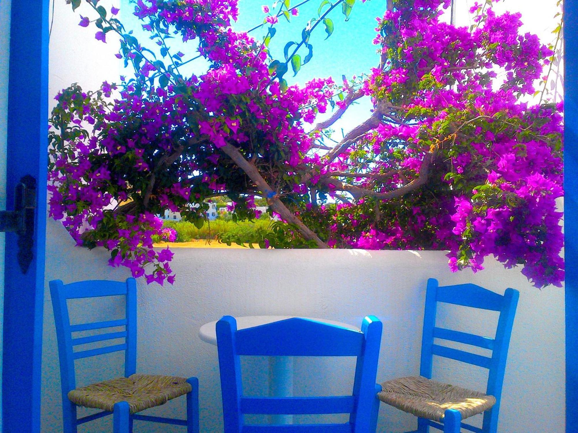 Aparthotel Pelagos Parikia (Paros)