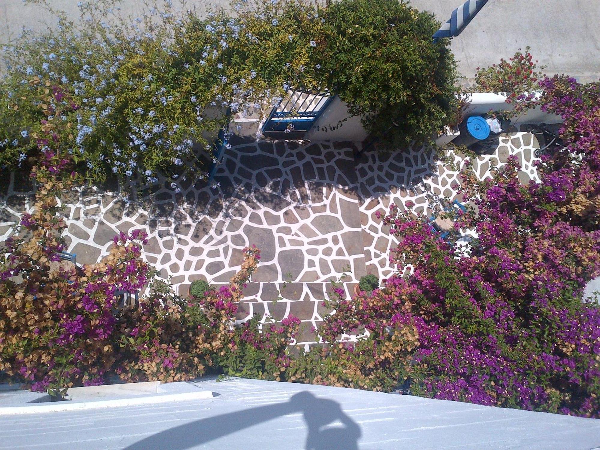 Pelagos