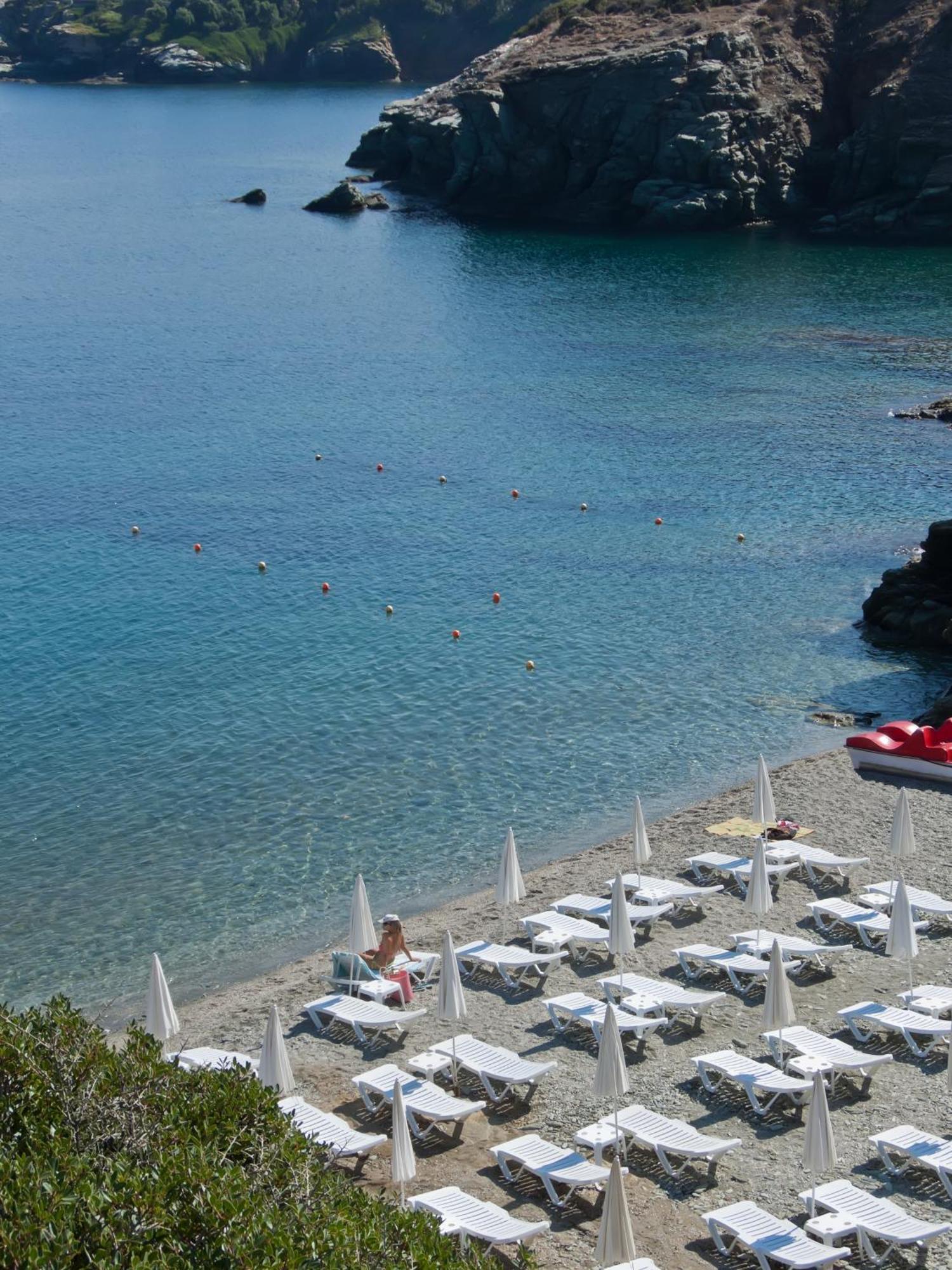 Litsa Mare Agia Pelagia (Crete)