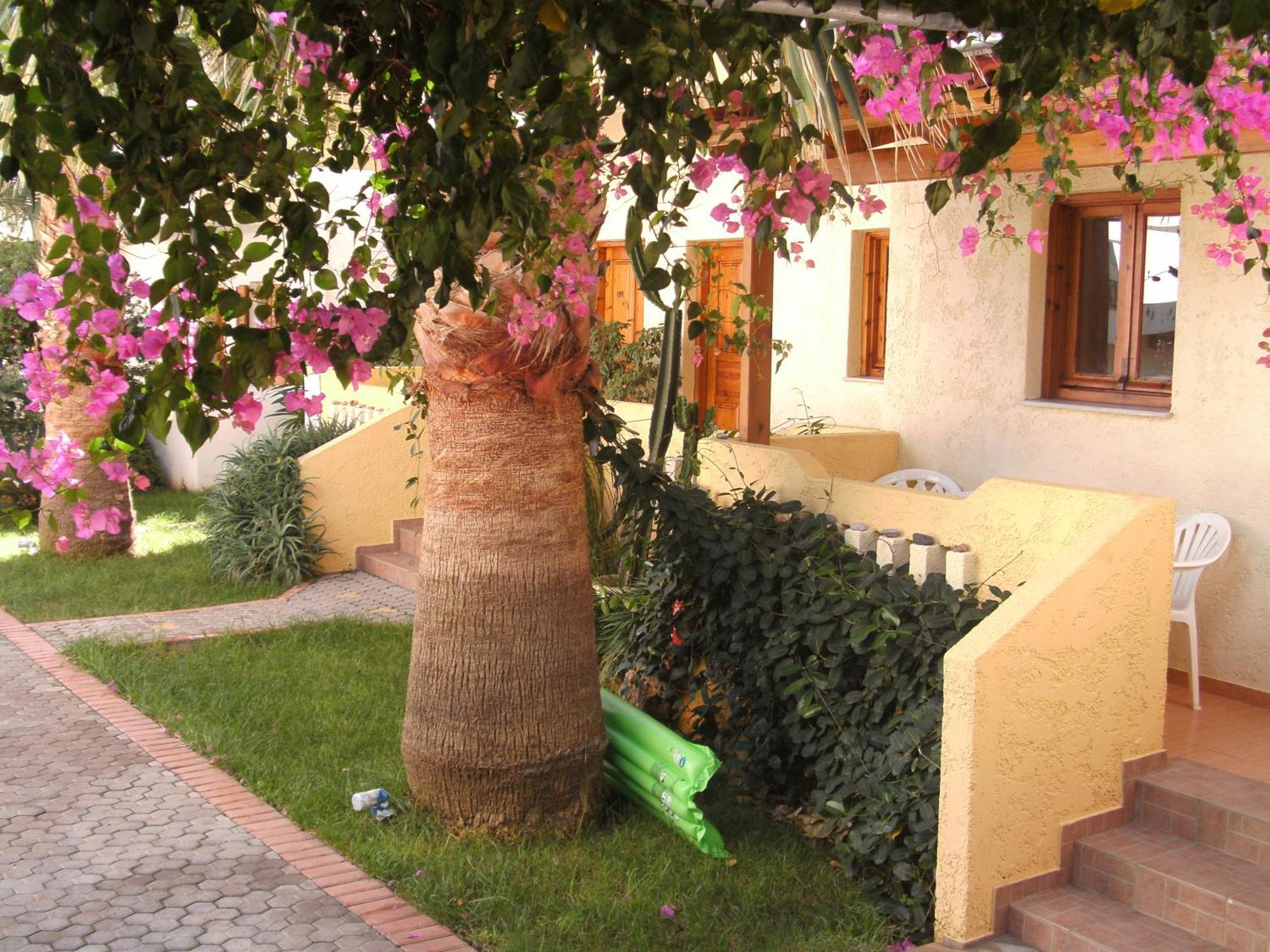 Apartment Lia Sofia Stalida
