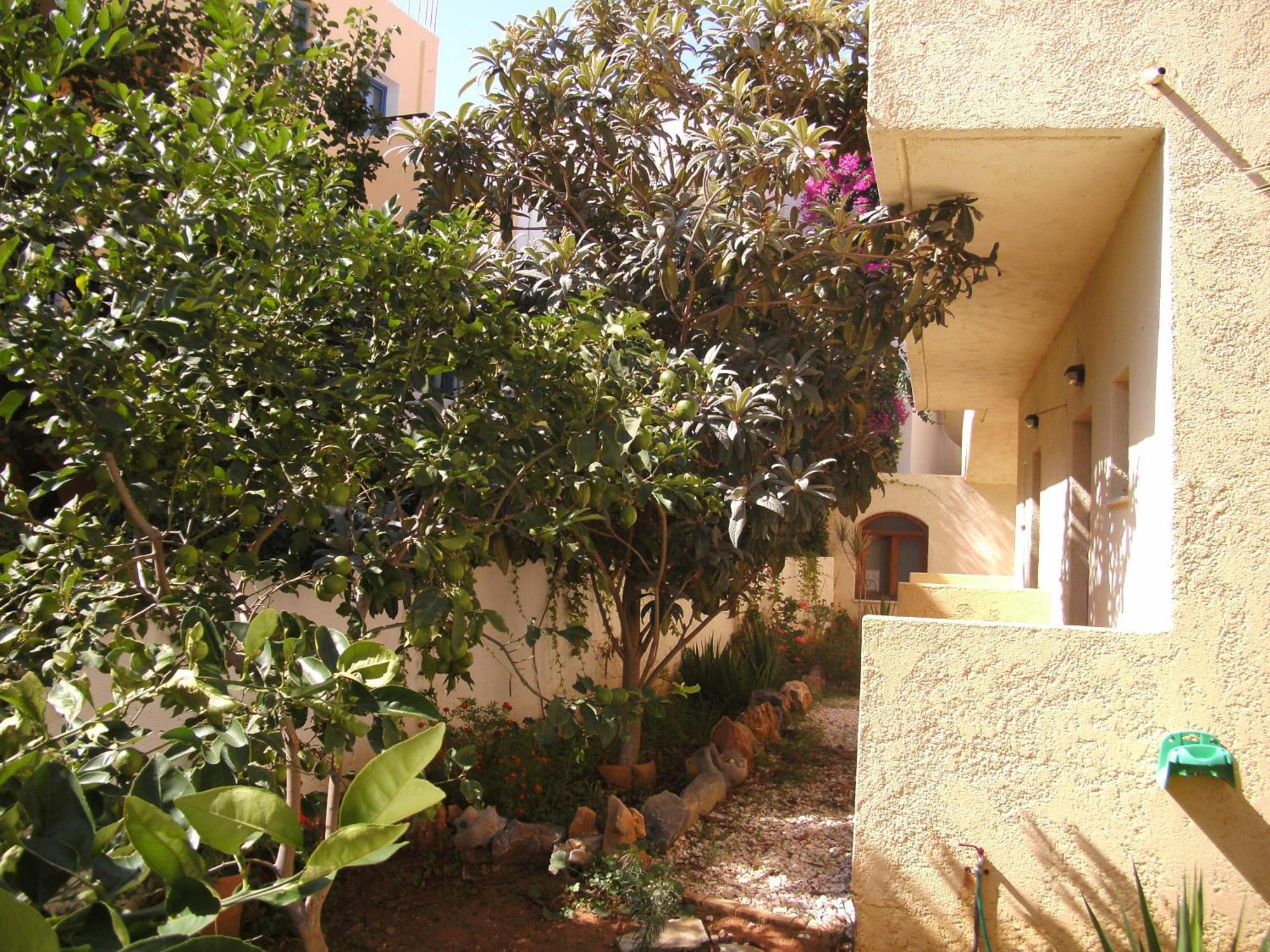 Apartment Lia Sofia