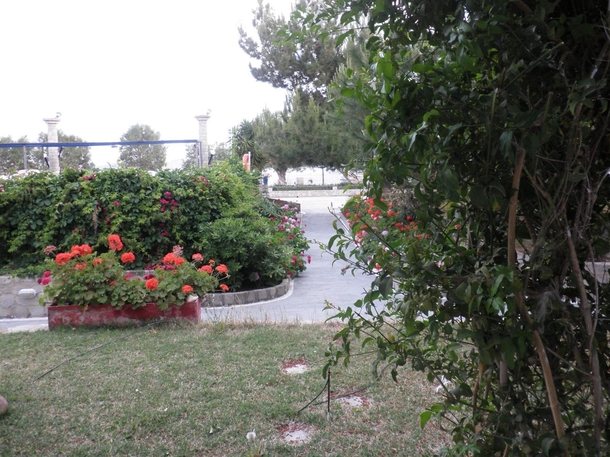 Lagada Adamantas (Milos)
