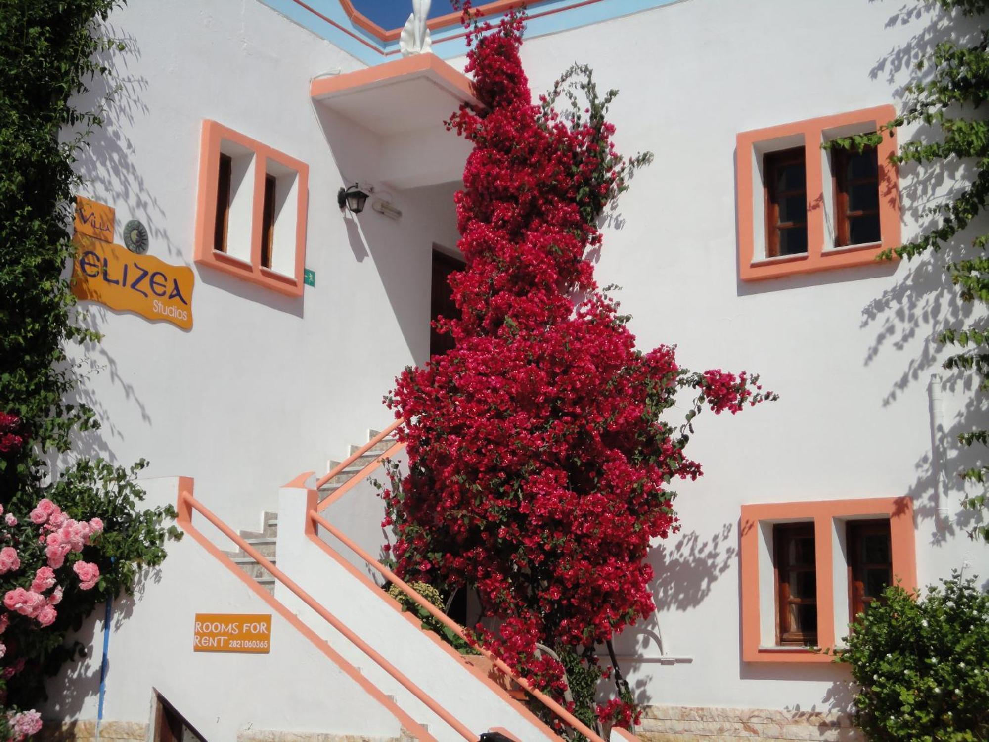 Apartment Elizea Stalos
