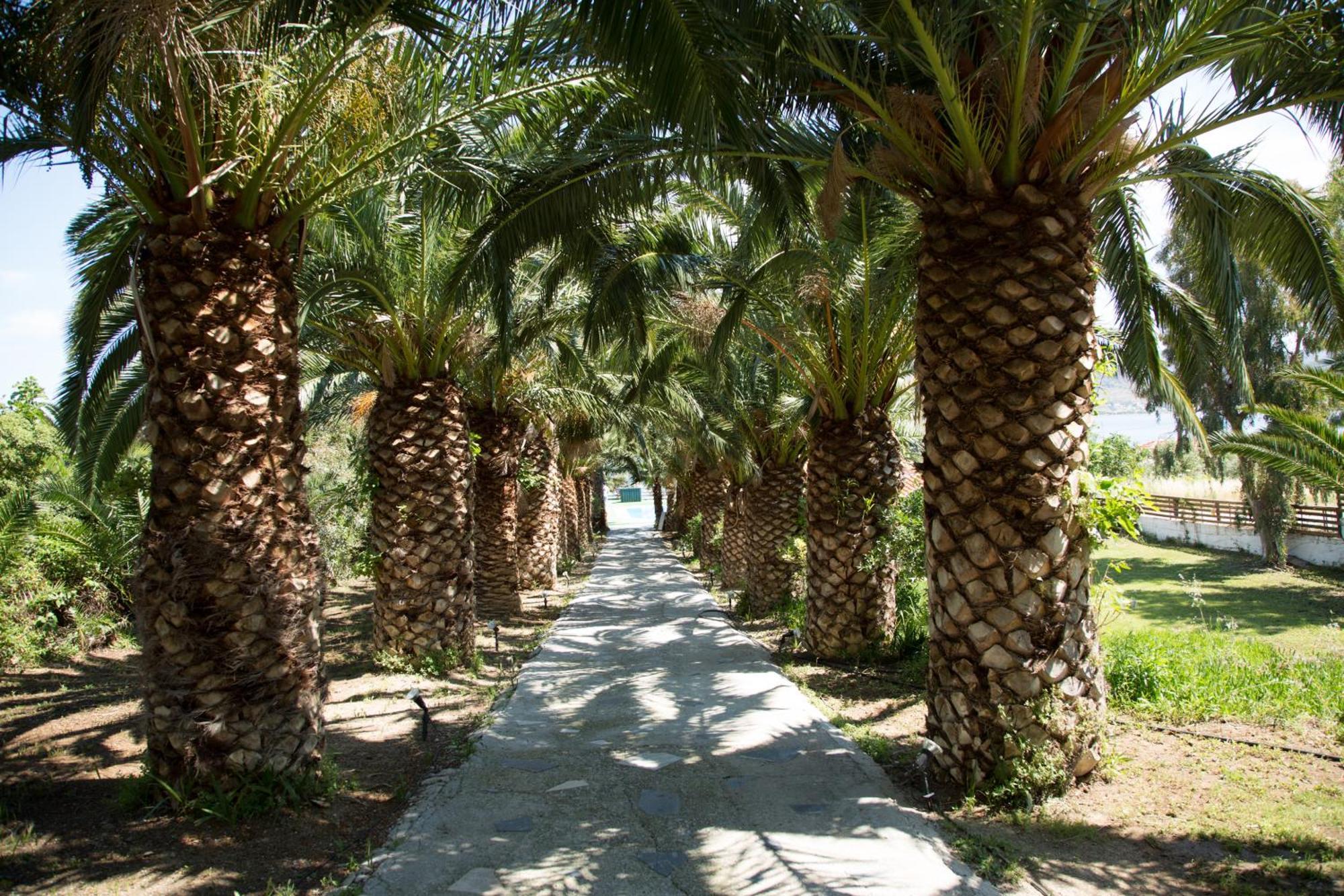 Hotel Clara Petra (Lesbos)