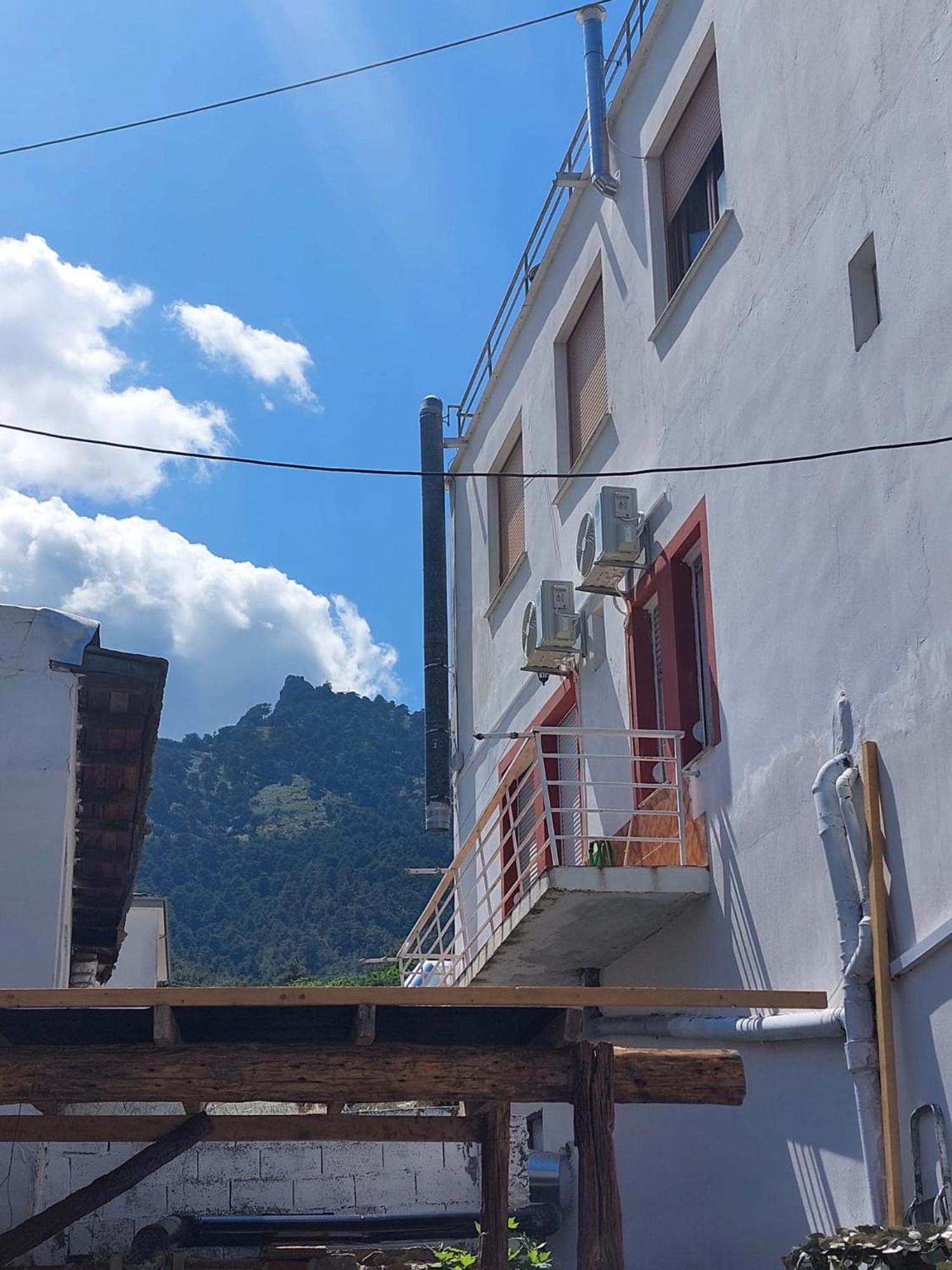 Amaya Pine Panagia (Thasos)