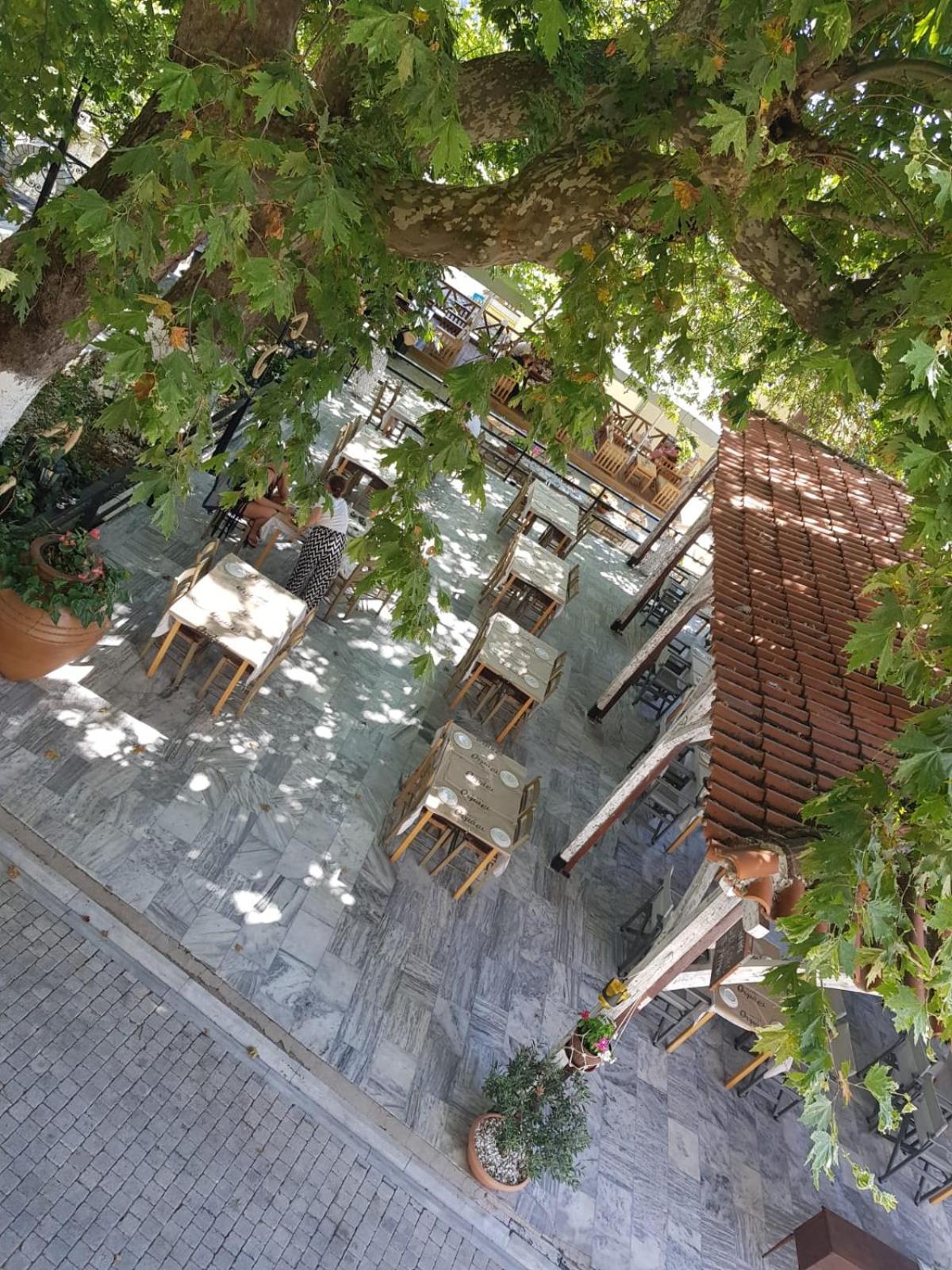 Guest house Amaya Pine *