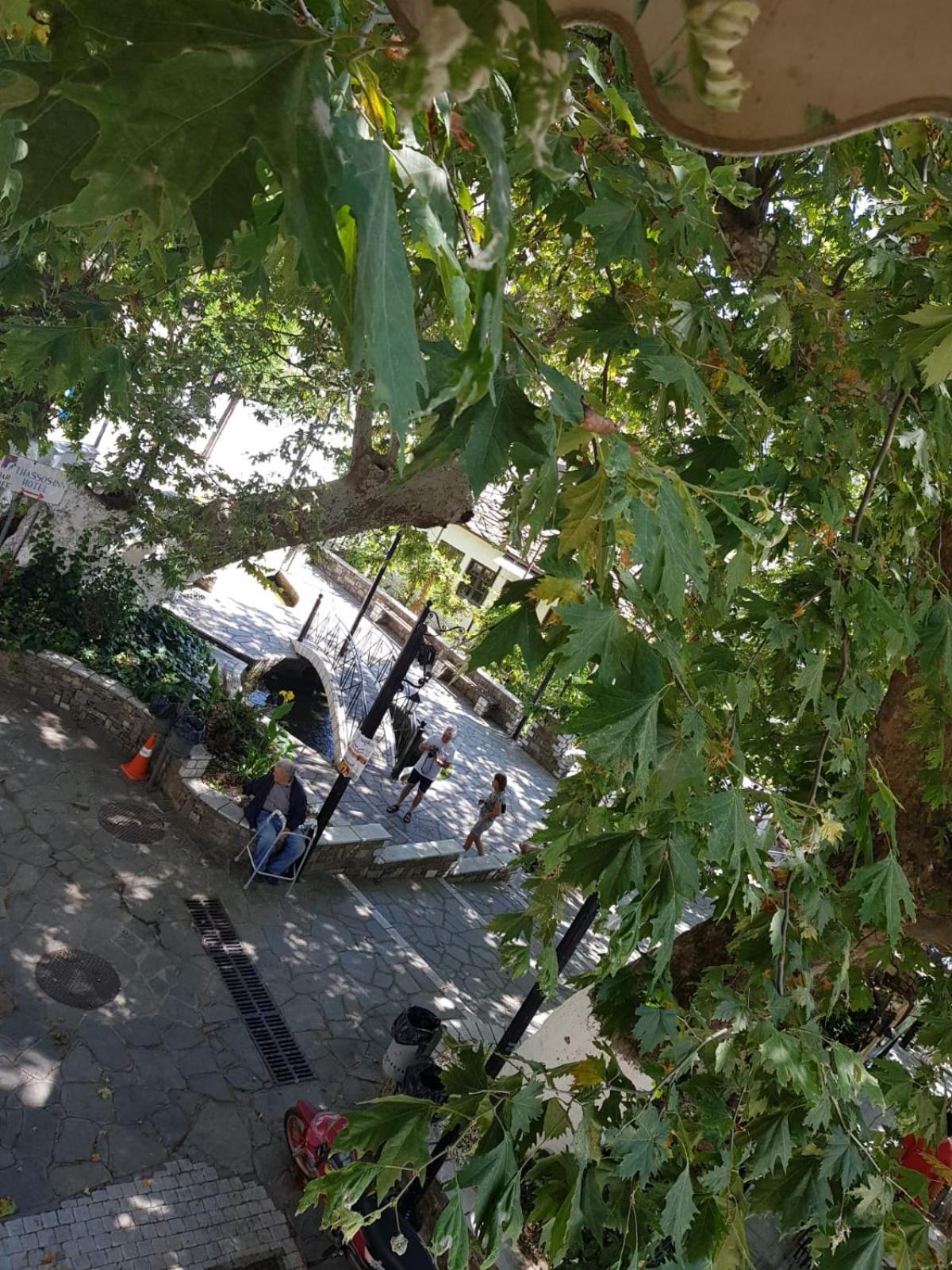 Guest house Amaya Pine Panagia (Thasos)