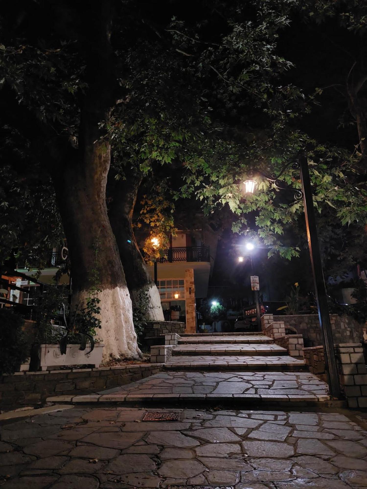 Amaya Pine Panagia (Thasos)