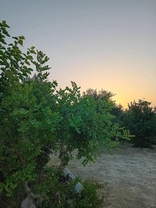 Sofia's Summer House * Koroni (Messinia)