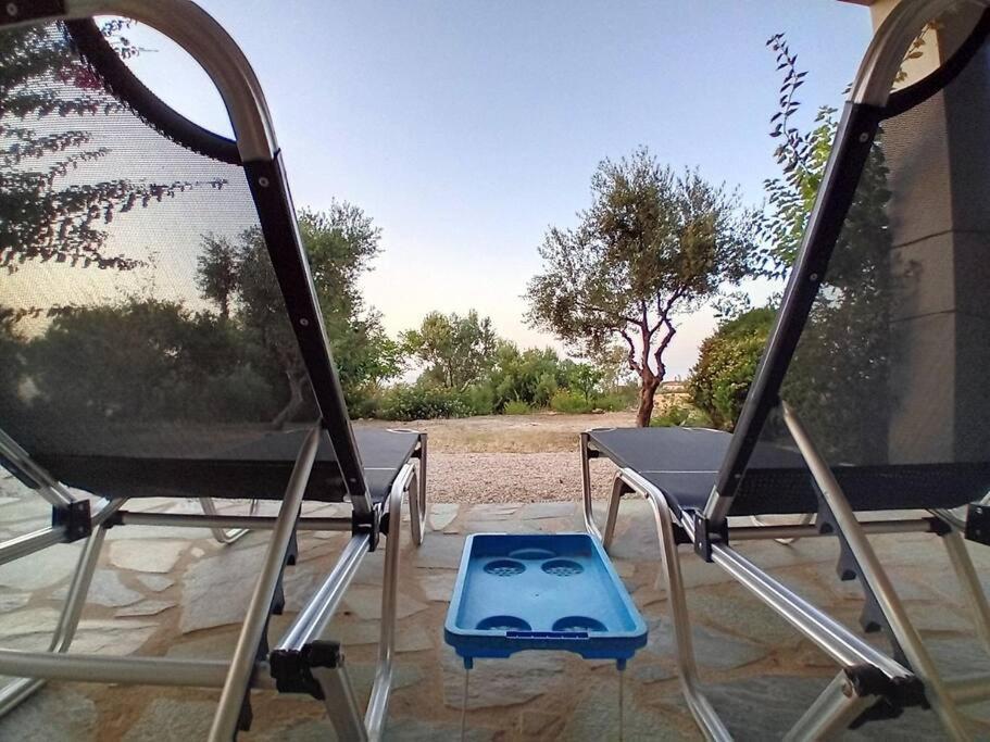 Sofia's Summer House