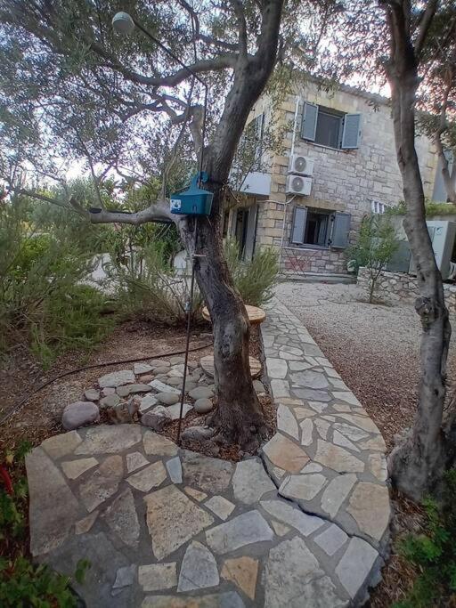 Apartment Sofia's Summer House Koroni (Messinia)