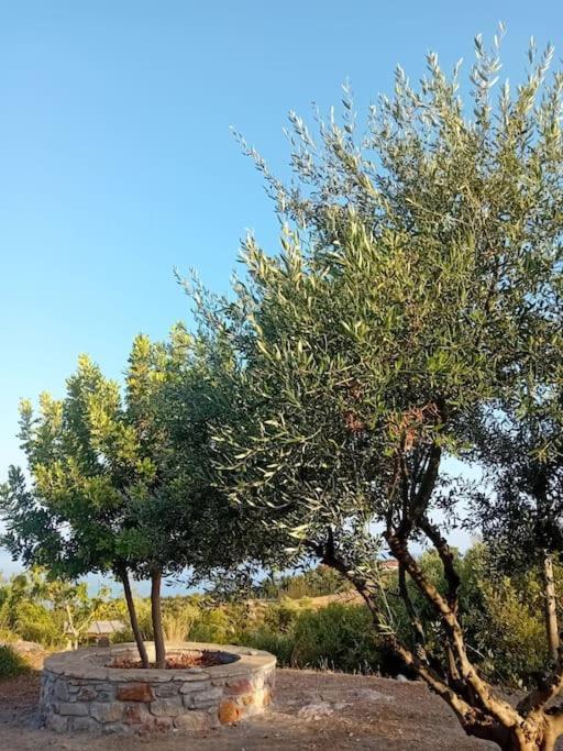 Sofia's Summer House * Koroni (Messinia)
