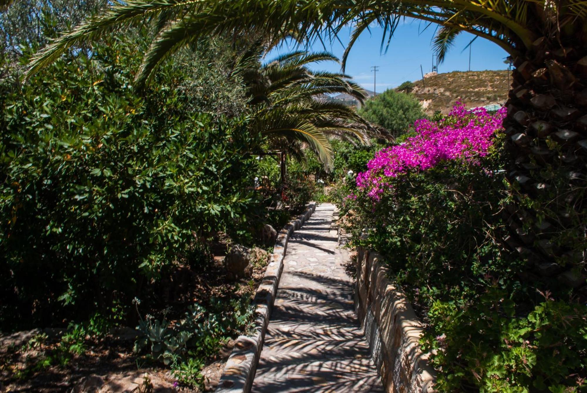 Patmos Mathios Studios- Guest house *