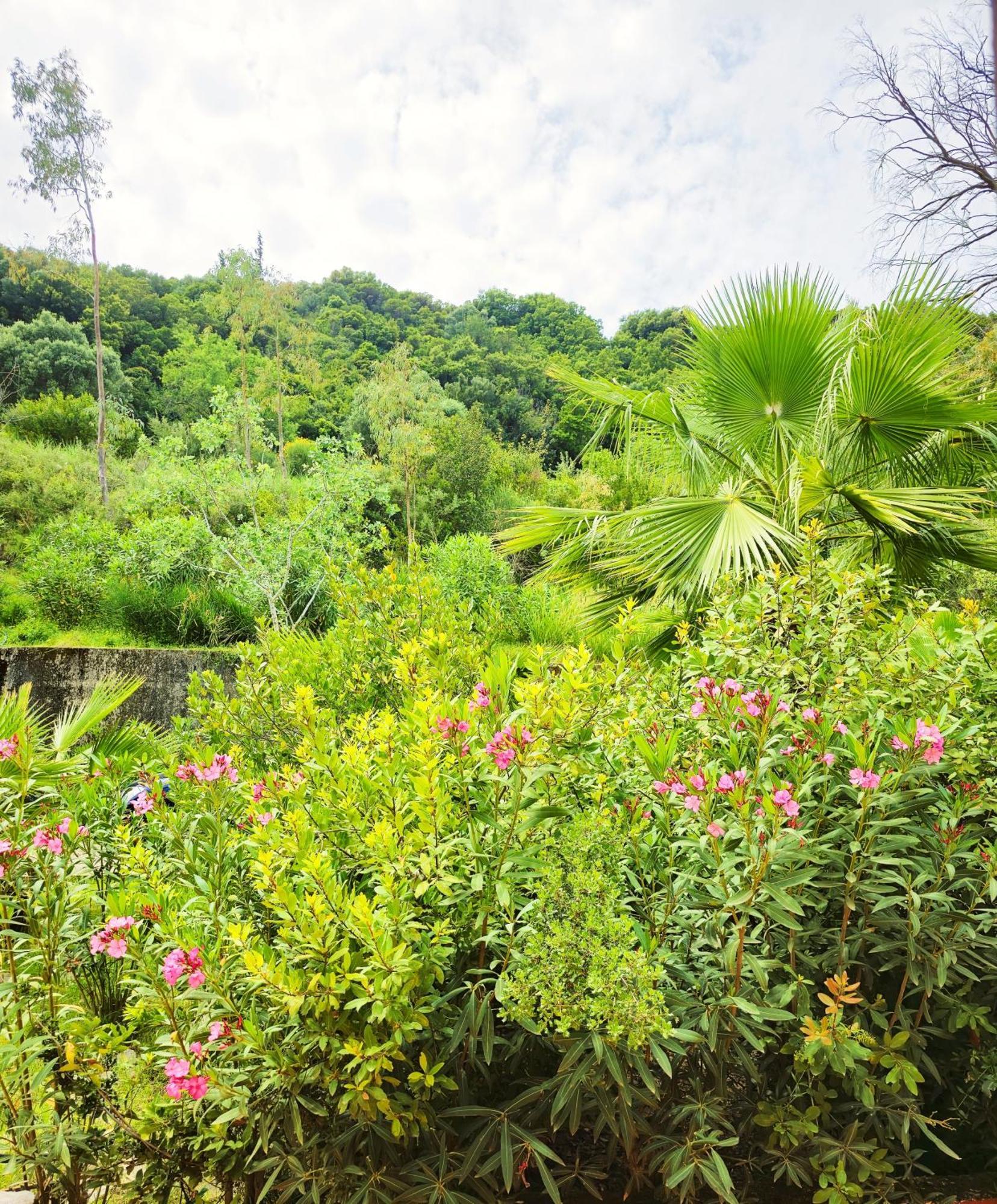Okeanis & Adults Only Apartment